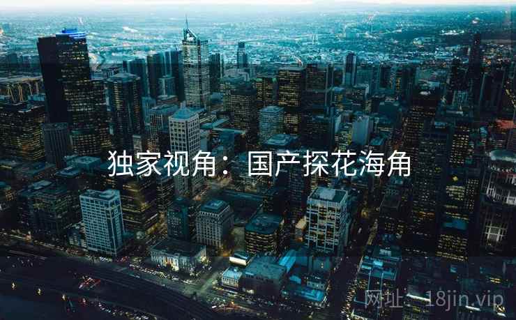 独家视角：国产探花海角