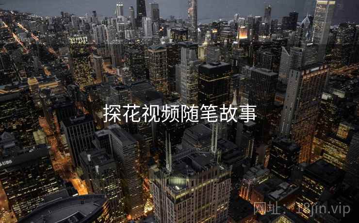探花视频随笔故事