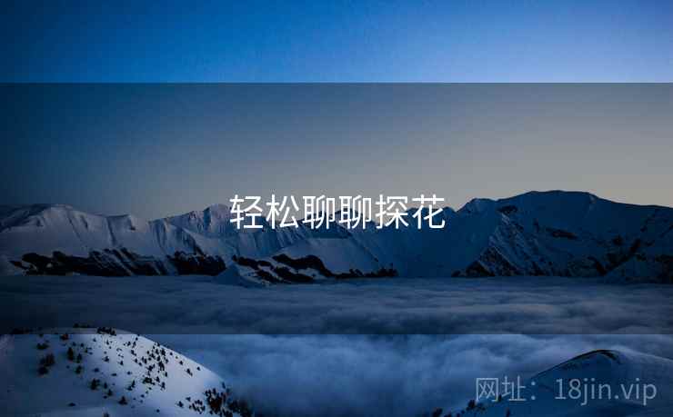 轻松聊聊探花