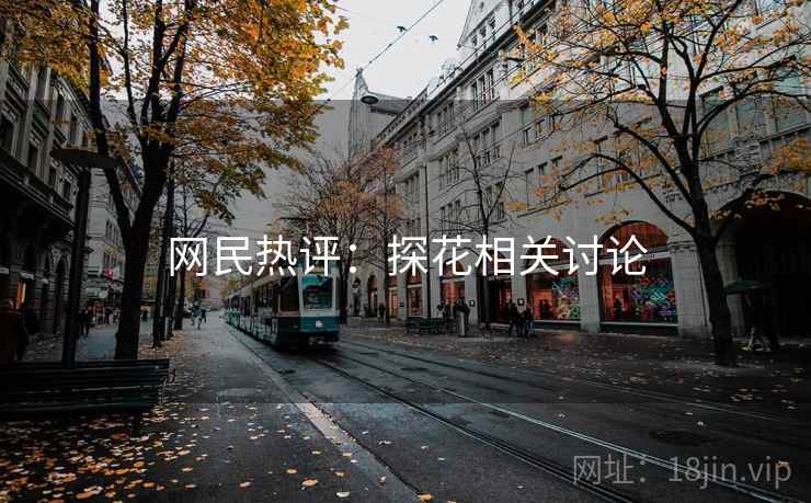 网民热评：探花相关讨论