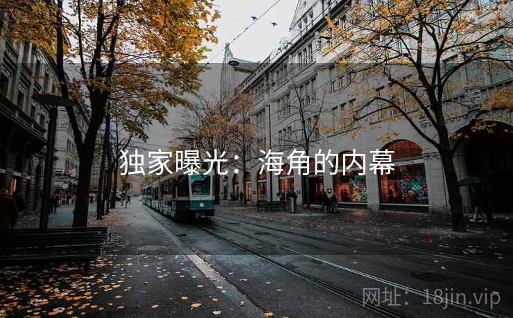 独家曝光：海角的内幕