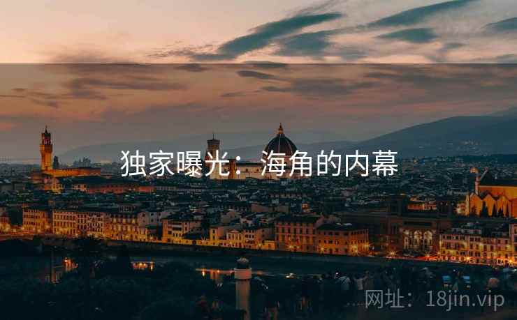 独家曝光：海角的内幕
