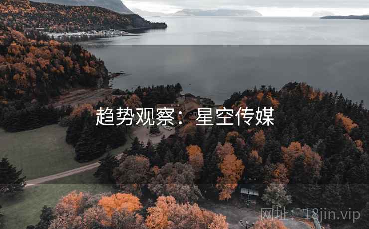 趋势观察：星空传媒