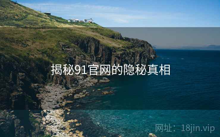 揭秘91官网的隐秘真相