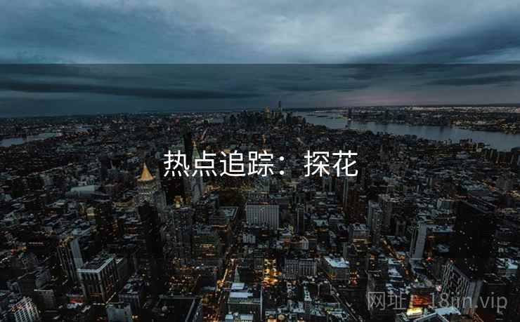 热点追踪：探花