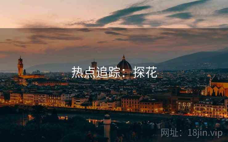 热点追踪：探花