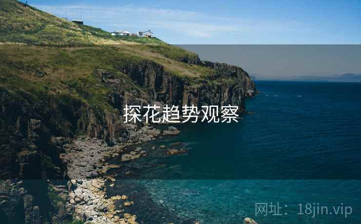 探花趋势观察
