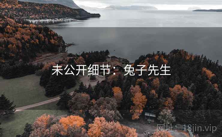 未公开细节:兔子先生 未公开细节:兔子先生