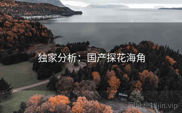 独家分析:国产探花海角 独家分析:国产探花海角