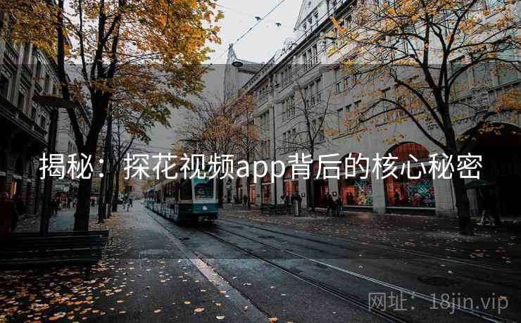揭秘:探花视频app背后的核心秘密